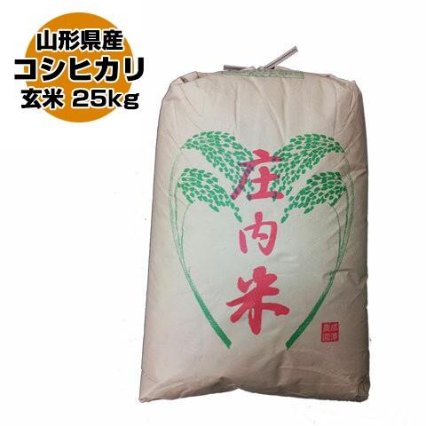 令和5年 山形県産 コシヒカリ 玄米 25kg(5kg×5)（送料無料）