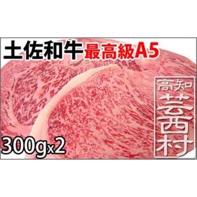 ふるさと納税 高知県 芸西村 土佐和牛A5特選サーロイン＆リブロースステーキ300g×2枚セット　牛肉＜高知市共通返礼品＞