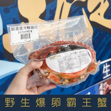 【就是愛海鮮】野生爆卵霸王蟹/麵包蟹600g-800g[量大可配合批發/團購]