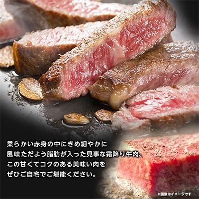 ふるさと納税 小城市 佐賀牛ロースステーキ用500g(2枚入り)(小城市)