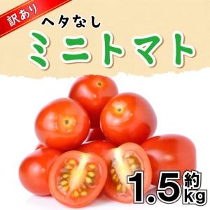 ふるさと納税 トマト ミニトマト  期間限定 約200g×12パック 香川県さぬき市