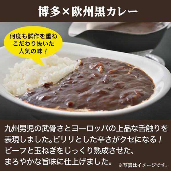 グルメ まとめ買い 当店チョイス 厳選カレー 計25食 バラエティセット ご当地 レトルトカレー 食品 送料無料 得トクセール オープン記念 お取り寄せ q1