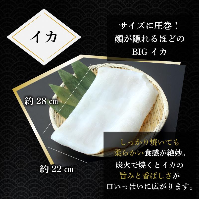 海鮮バーベキューセット 海鮮5種全28品(5〜6人前) BBQ アワビ イカ エビ ホタテ 送料無料 内祝い お歳暮 プレゼント ギフト 年末年始