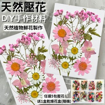 【A-ONE】天然乾燥壓花 押花材 花藝材料包 浮游花 永生花 繽紛 拍照道具 乾花 乾燥花 親子手工 香氛片材料