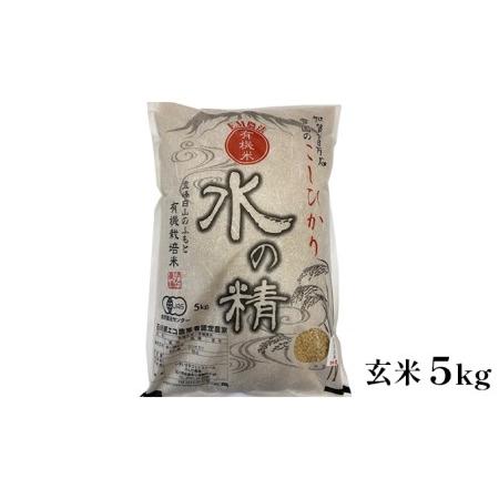 ふるさと納税 有機米こしひかり「水の精」玄米5kg 石川県能美市