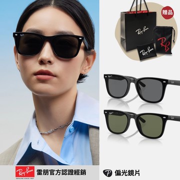 【RayBan 雷朋】膠框偏光太陽眼鏡(RB4391D-601/9A、RB4391D-601/81 65mm 偏光鏡片)