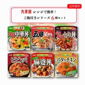 レトルト食品 詰め合わせ 常温保存 レトルト 惣菜 常温 ごはん おかず レトルトご飯 インスタント食品 丸美屋 ごはん付き 6種 セット 惣