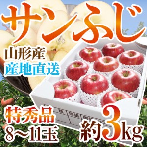 山形県産 ”サンふじりんご 特秀品 約3kg 化粧箱入” 送料無料