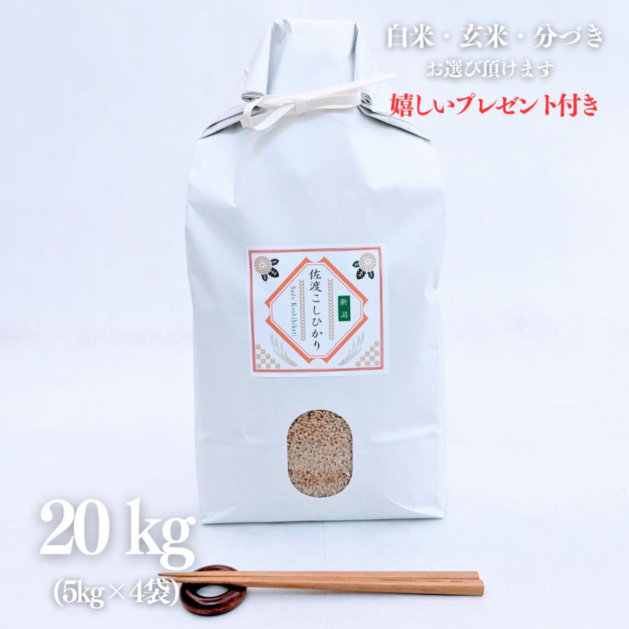 新米 お米 20kg 新潟県産 佐渡コシヒカリ 玄米 5kg×4袋 令和5年産 低農薬 精米無料 白米 5分付き 7分付き 紙袋 グルメ 熨斗 嬉しいプレゼント付き 送料無料