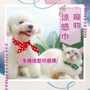 【夏季降溫】寵物涼感巾 降溫升級 親膚 降溫 消暑 寵物冰巾 圍脖 貓狗 狗貓造型領巾