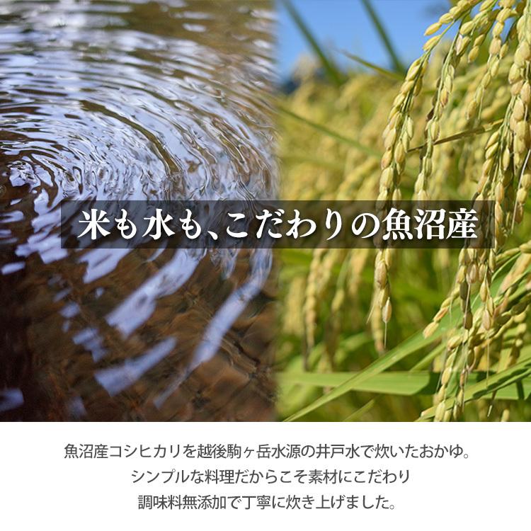 発芽玄米おかゆ 20個 もち麦おかゆ 250g アイリスフーズ