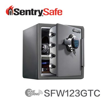 Sentry Safe 電子密碼鎖 防火 防水 金庫 保險箱 保險櫃 SFW123GTC