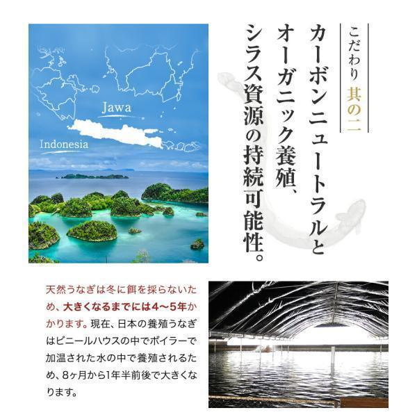 ジャワ うなぎ 蒲焼き 鰻 長焼き 超特大サイズ 200g 4本 タレ（山椒）付き お歳暮 2023 ふるさと グルメ ギフト 無投薬 オーガニック