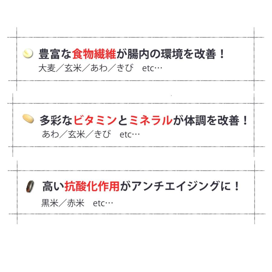 九州十穀米と藻塩の健康ごはんセット 九州十穀米 九州産藻塩  