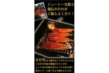 大型サイズふっくら柔らか　国産うなぎ蒲焼き　2尾