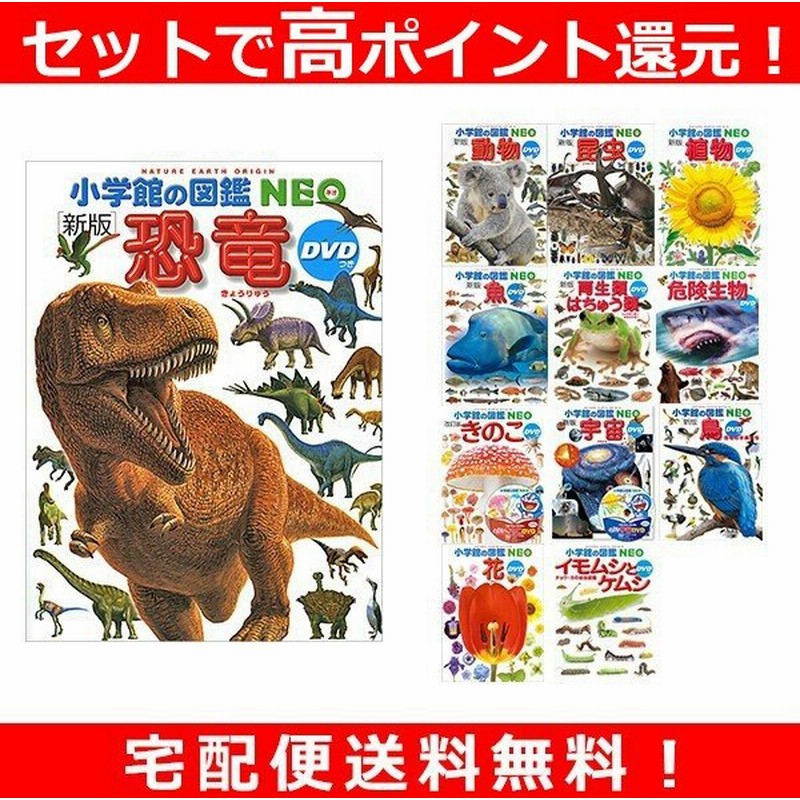 小学館の図鑑neo 12冊セット 恐竜 動物 昆虫 植物 魚 両生類 危険生物 きのこ 宇宙 鳥 花 イモムシ 通販 Lineポイント最大0 5 Get Lineショッピング