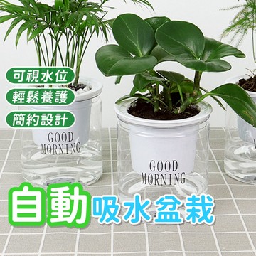 吸水花盆 自動吸水盆栽 透明花盆 懶人盆栽 塑膠盆栽 水耕植物 花盆 綠植 簡約花盆 園藝用品 花架 花器