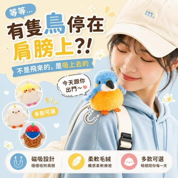 台灣出貨 小鳥毛絨玩偶 磁吸肩膀公仔小鳥 可愛鳥類玩具 療癒系毛絨小公仔 肩膀裝飾拍照道具 包包掛飾  朋友生日交換禮物