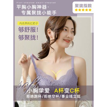 性感內衣女小胸聚攏平胸專用無鋼圈調整型上托收副乳加厚文胸罩