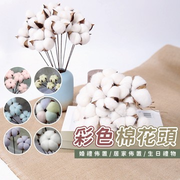 棉花頭 乾燥棉花 彩色棉花頭 手工棉花頭 手工棉花支 乾燥花 永生花材 棉花 棉花支 不凋花配件 畢業花束
