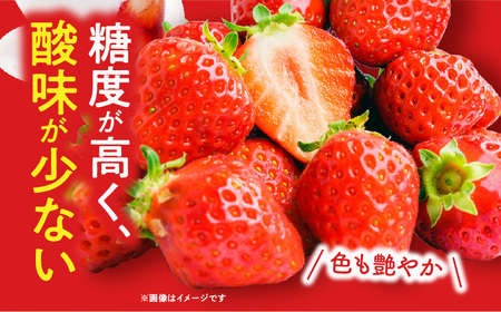 宮崎県産イチゴ「幸せの紅白いちごセット」3パック（1080g以上：36粒～45粒） いちご 苺