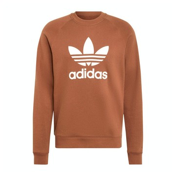Adidas Trefoil Crew IZ2357 男 長袖 上衣 衛衣 運動 經典 三葉草 休閒 棉質 棕