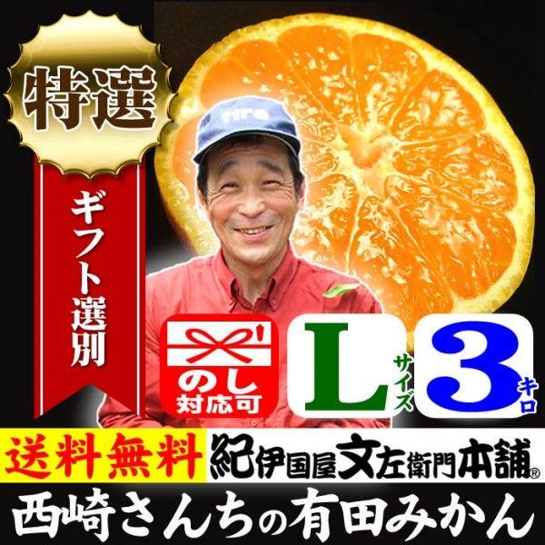 和歌山 有田みかん　西崎さんちの有田みかん　約3kg　(Lサイズ)　特選ギフト品