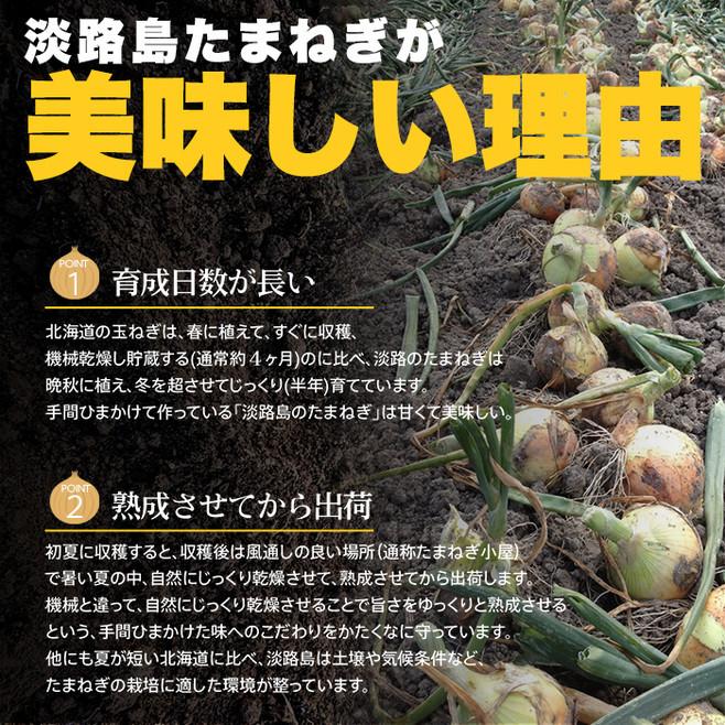 淡路島たまねぎスープ 30包 甘くて柔らかい 淡路島産 玉ねぎ 100％使用 送料無料 ゆうパケット