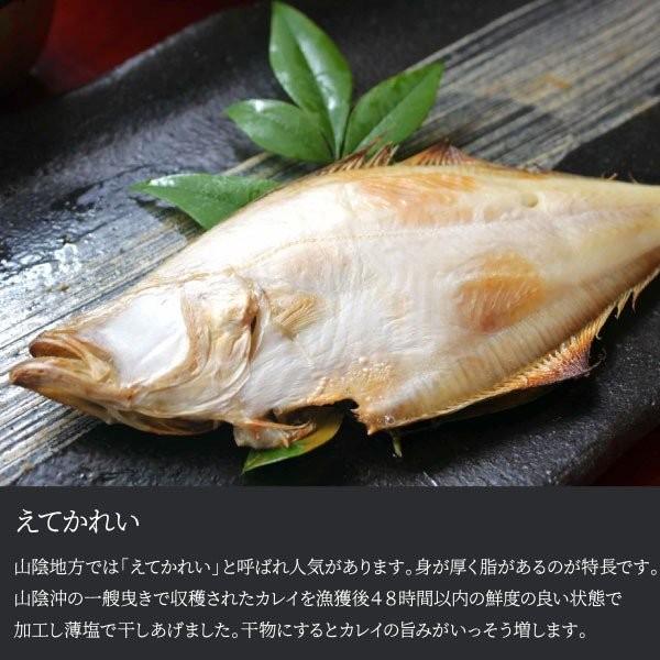 干物 詰め合わせ 送料無料 出雲産 干物セット 海鮮 グルメ 贈答 のどぐろ どんちっちあじ さば酒塩干し えてかれい するめいか一夜干し お取り寄せ お歳暮