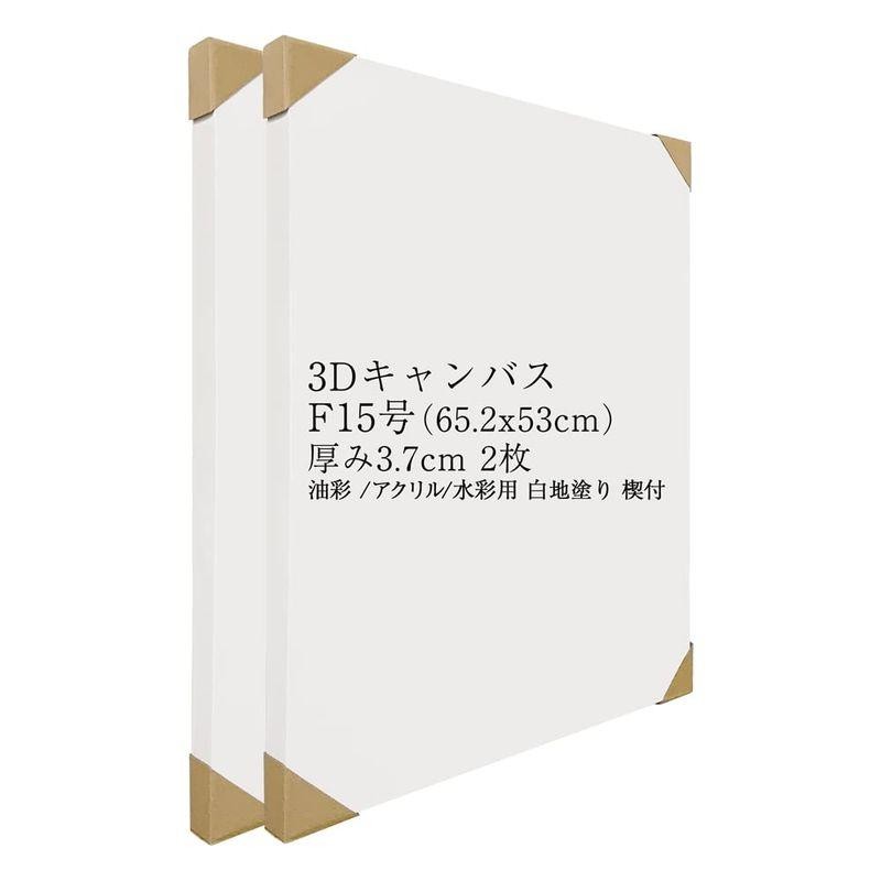 JPart&craft3Dキャンバス F15号 (65.2x53cm) 厚み3.7cm 2枚 包み張り