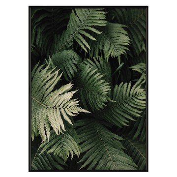 森森之意  40 x 30cm  黑色