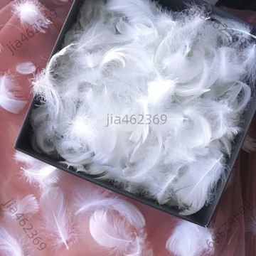【免運優惠】多彩羽毛禮盒填充物DIY手工裝飾材料拍照道具逗貓棒捕夢網馬卡龍【可開票】