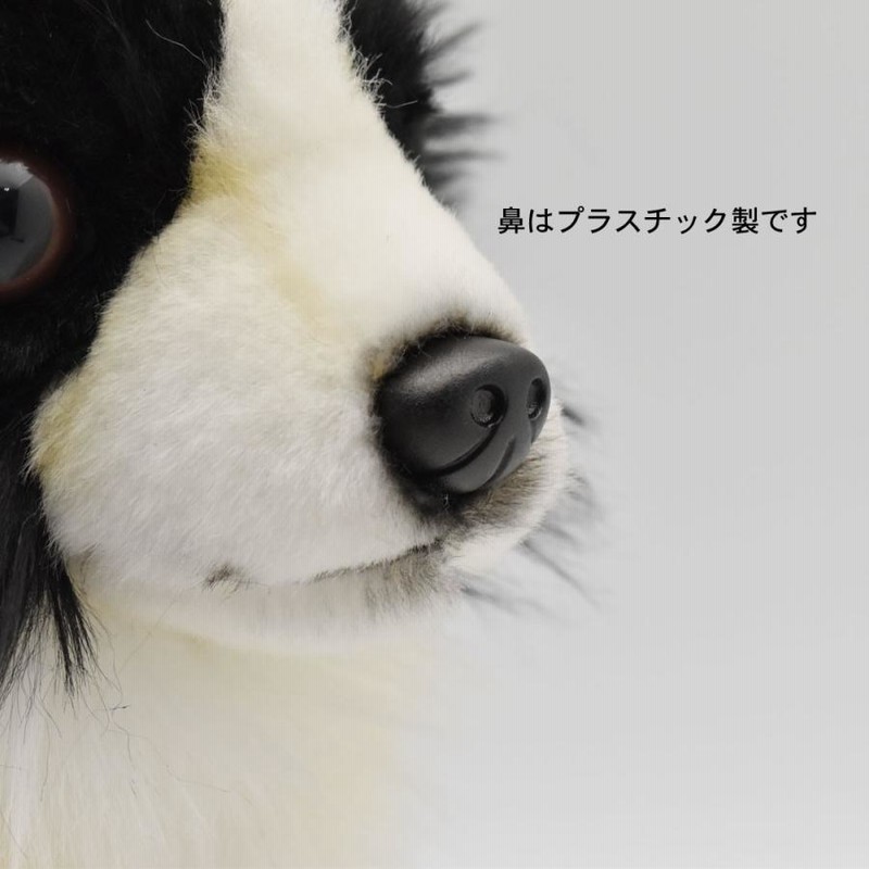 BH6504 チワワ ブラック HANSA ちわわ くろ 黒 いぬ イヌ 犬