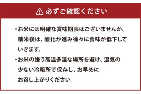 青森県産 まっしぐら 5kg 八戸三社大祭モデル お米 精米