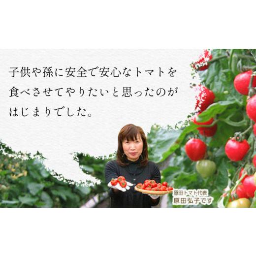 ふるさと納税 徳島県 阿波市 野菜 トマト  フルーツトマト 850g 以上 先行予約 11月発送 完熟 糖度8以上 スイーツ ギフト 贈答用 星のしずく 人気急上昇