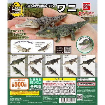 𓅓MOCHO𓅓 現貨 BANDAI 扭蛋 生物大圖鑑-鱷魚 全5種 單顆
