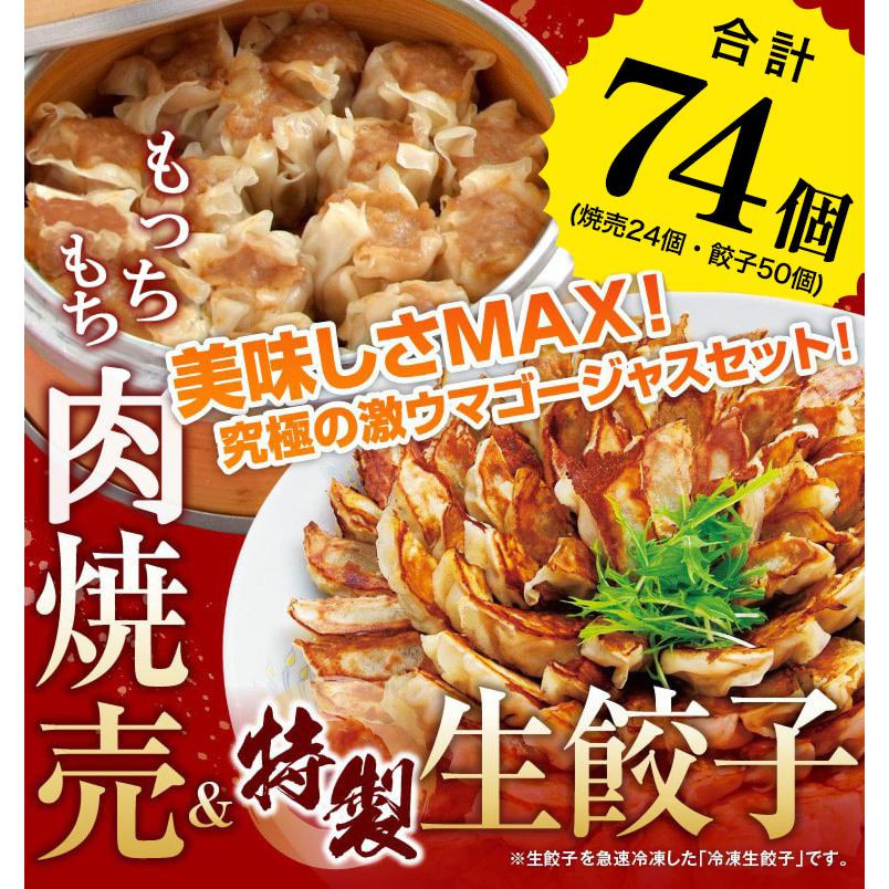 送料無料 焼売＆特製生餃子のセット 冷凍　業務用 大容量 たっぷり 時短 お手軽 簡単 餃子計画　大阪 浪花