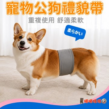 【喵喵旺旺B119】舒適公狗禮貌帶 禮貌帶/寵物生理帶/寵物尿布/禮貌帶/寵物護理帶/公狗生理褲/狗用品/萌寵必備/寵物