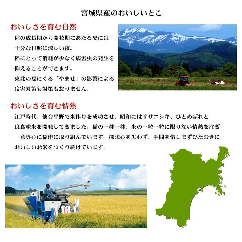 新米 お米 5kg 送料別 白米 だて正夢 宮城県産 令和5年産 1等米 お米 5キロ 食品