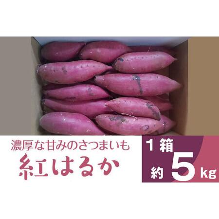 ふるさと納税 BZ-15　2023年度産濃厚な甘みのさつまいも　紅はるか　約5kg 茨城県行方市