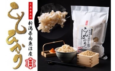 自然農法 化学肥料不使用の南魚沼産こしひかり2ｋｇ