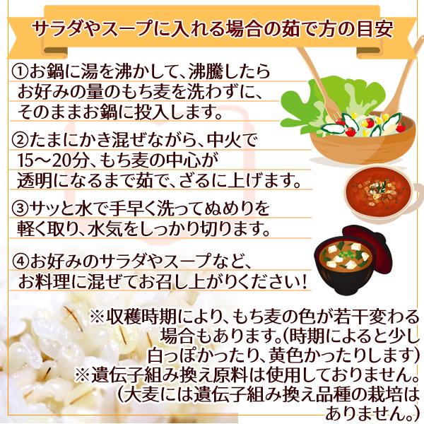 キラリモチ 岡山県産 950g もち麦 国産 メール便 送料無料