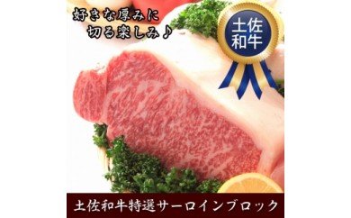 肉 牛 塊肉土佐 和牛 A5 特選 サーロイン ブロック 約1kg〈高知市共通返礼品〉お歳暮 御歳暮