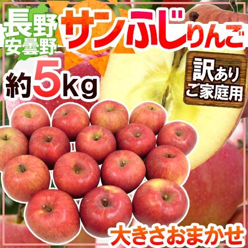 りんご 長野県 安曇野産 ”サンふじりんご” 訳あり 約5kg 大きさおまかせ 送料無料