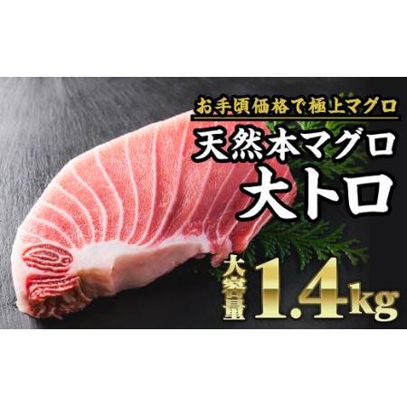 ふるさと納税 天然本マグロ  大トロ 　大満足1.4kg　CH-71 三重県尾鷲市