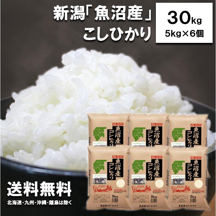 新米　田中米穀　新潟魚沼産こしひかり30kg（5kg×6袋）　新潟県産　お米　白米　コシヒカリ　令和5年度産