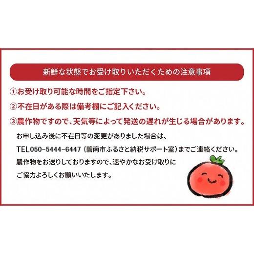 ふるさと納税 愛知県 碧南市 まるでトマトの宝石箱！フルーツジュエリートマト　1.8kg　H004-117