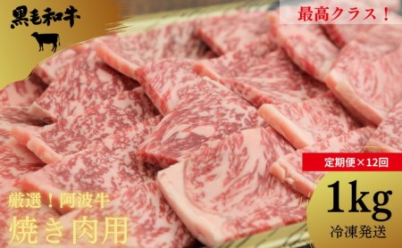 定期便 12回 牛肉 焼き肉用 ロース モモ バラ 1kg × 12ヵ月 国産 黒毛和牛 阿波牛 BBQ バーベキュー 冷凍 ※配送指定不可 大人気焼き肉 人気焼き肉 絶品焼き肉 至高焼き肉 国産焼き肉 徳島県産焼き肉 徳島県焼き肉 定期便焼き肉 ギフト焼き肉 お中元焼き肉 贈答用焼き肉 本格焼き肉 焼き肉