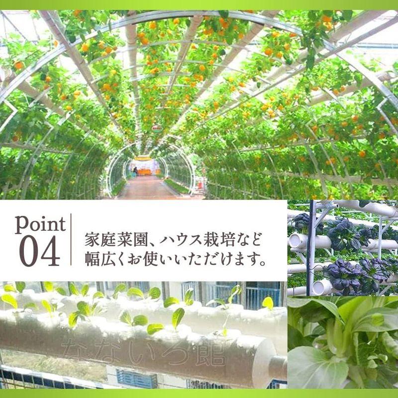 水耕栽培用ポット スポンジ 各セット 育苗 育成 キット スプラウト育成 栽培 家庭菜園 野菜 ガーデニング 園芸 種子