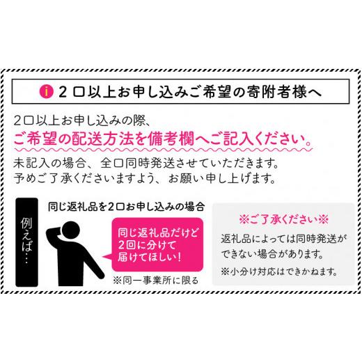 ふるさと納税 福井県 坂井市 たんちょう杵つき餅セット 『つどい』 計40個 〜幻のもち米100％使用〜 [A-2934]